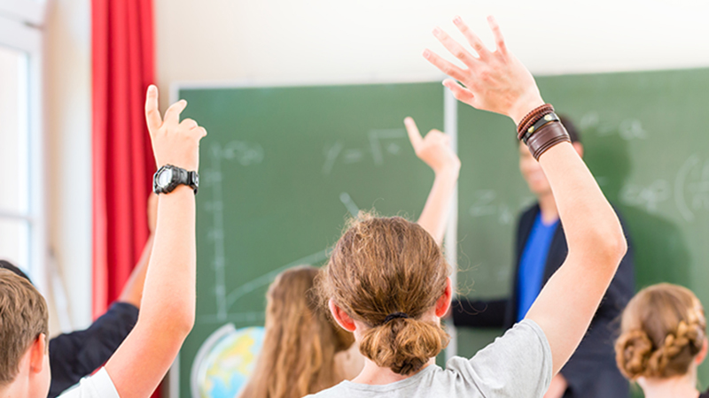 Curso de Atención a la Diversidad en Centros Educativos (Titulación Universitaria con 5 Créditos ECTS)- RedEduca