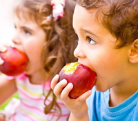 Titulación Universitaria en Monitor de Comedores Escolares + Seguridad Alimentaria y Nutricional (Curso Homologado y Baremable en Oposiciones de la Administración Pública + 13 Créditos ECTS)- RedEduca