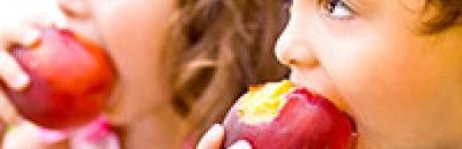 Curso Online de Alimentación en la Etapa Preescolar y Escolar + Monitor de Comedores Escolares (Doble Titulación con 5 Créditos ECTS)- RedEduca
