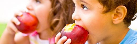 Especialista Profesional en Obesidad Infantil + Nutrición Infantil (Doble Titulación con 5 Créditos ECTS)- RedEduca