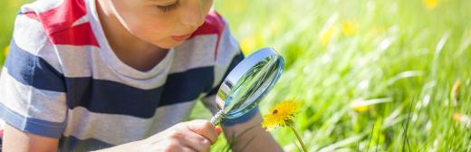 Experto en Educación Ambiental para Maestros de Educación Primaria (Curso Homologado y Baremable en Oposiciones de Magisterio de Primaria + 5 Créditos ECTS)- RedEduca