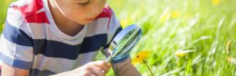 Experto en Educación Ambiental para Maestros de Educación Primaria (Curso Homologado y Baremable en Oposiciones de Magisterio de Primaria + 5 Créditos ECTS)- RedEduca