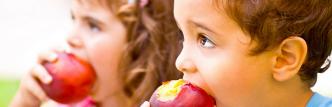 Técnico Profesional en Nutrición Infantil (Doble Titulación Universitaria con 5 Créditos ECTS)- RedEduca